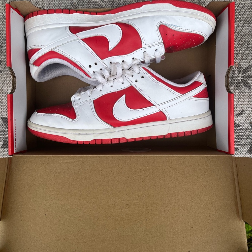 Nike men dunk low size 12